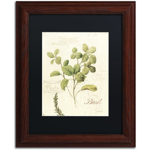 Trademark Fine Art "Aromantique III" Canvas Art by Lisa Audit, Black Matte, Wood Frame