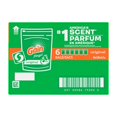 thumbnail image 2 of Gain Flings Capsules de Détergent à Lessive, Parfum Original, avec Protection Anti-Odeurs, Capsules de Savon à Lessive Concentré, 16 Unités, 2 of 8