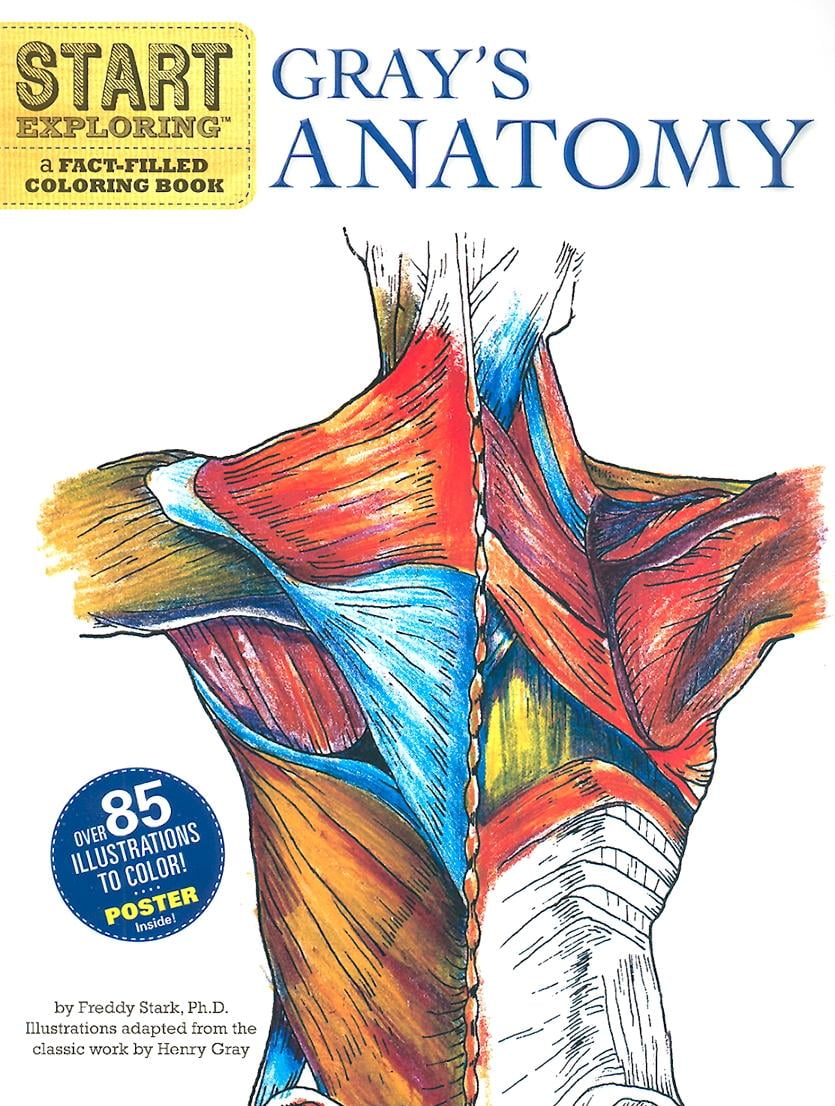 gray-s-anatomy-a-fact-filled-coloring-book-walmart-walmart