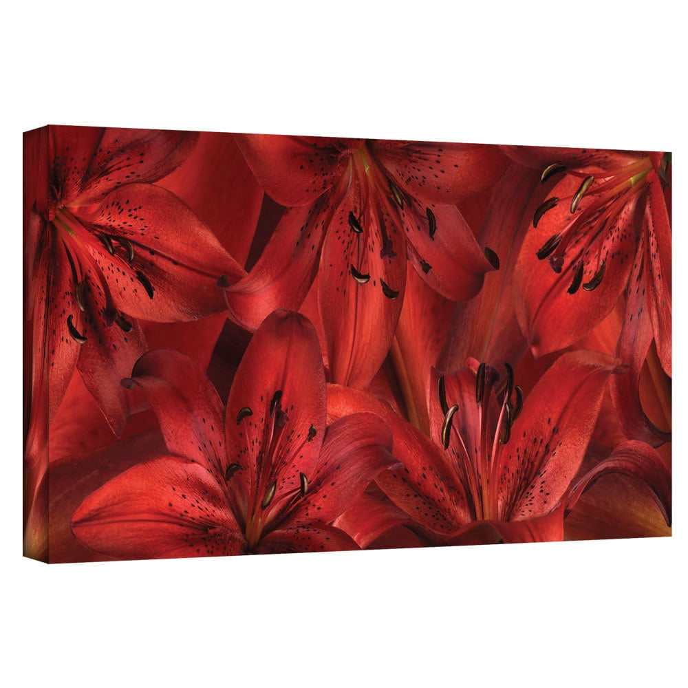 ArtWall Cora Niele "Lily Landscape Red" Gallery-Wrapped Canvas