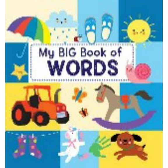 Pre-Owned My Big Book of Words (Unknown) 1648330614 9781648330612