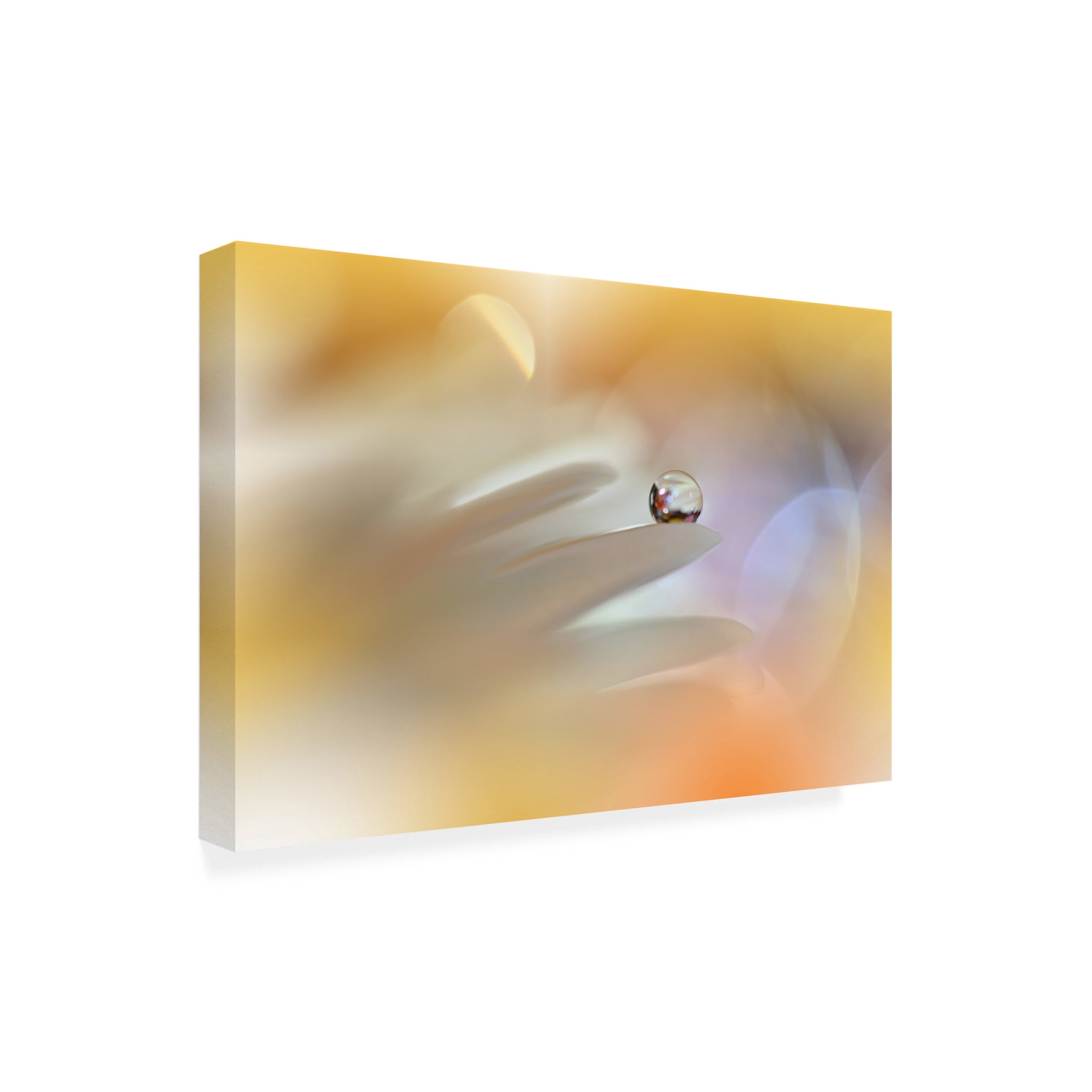 Trademark Fine Art Juliana Nan Timeless Tale.. Canvas Wall Art