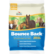 Manna Pro Bounce Back Supplement for Cows, Calves, Horses, Foals, Goat Kids, Llamas, Alpacas, Lambs, Piglets