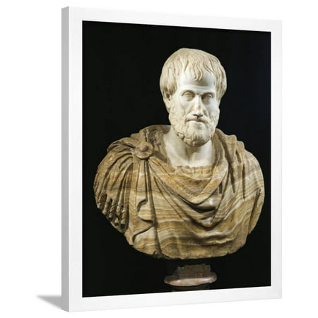 Marble and Alabaster Bust of Aristotle Framed Print Wall