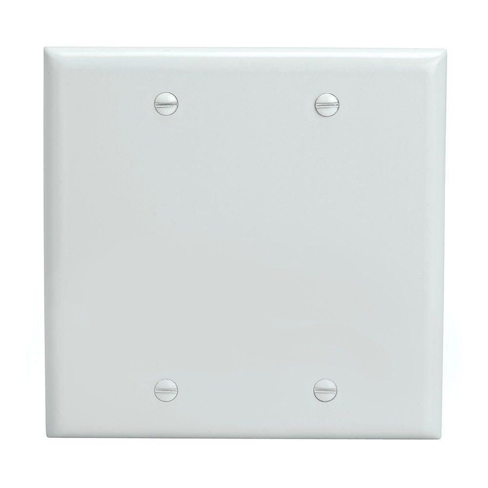 Blank 2 Gang Thermoplastic Panel Wall Plate (GFCI), White