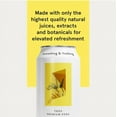 thumbnail image 4 of Something & Nothing Lightly Carbonated Yuzu Premium Soda Case of 12 x 12 Fl Oz, 4 of 7
