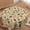 Fall-02, variant on Verolix Round Tablecloth 60 Inch, Blue Botanical Leaf Table Cover, Waterproof Washable Wrinkle Resistant Fabric Table Cloth for Dining Room Kitchen Indoor Outdoor Decor