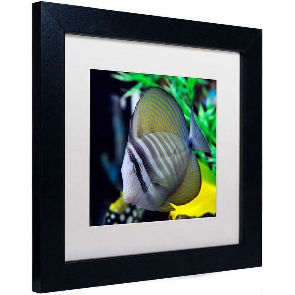Trademark Fine Art "Tropical Fish 2" Canvas Art by Kurt Shaffer, White Matte, Black Frame