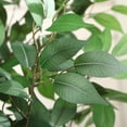 thumbnail image 5 of 7 ft Faux Ficus Plant in Large White Planter, Artificial Ficus Tree in Pot, Perfect Home Décor, 5 of 9