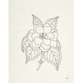 thumbnail image 2 of Hershey, Moira 20x24 White Modern Wood Framed Museum Art Print Titled - Gardenia Line Drawing, 2 of 4