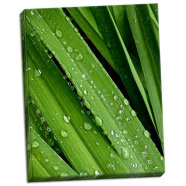 Gango Home Decor April Rain II by Monika Burkhart (Ready to Hang); One 22x28in Hand-Stretched Canvas