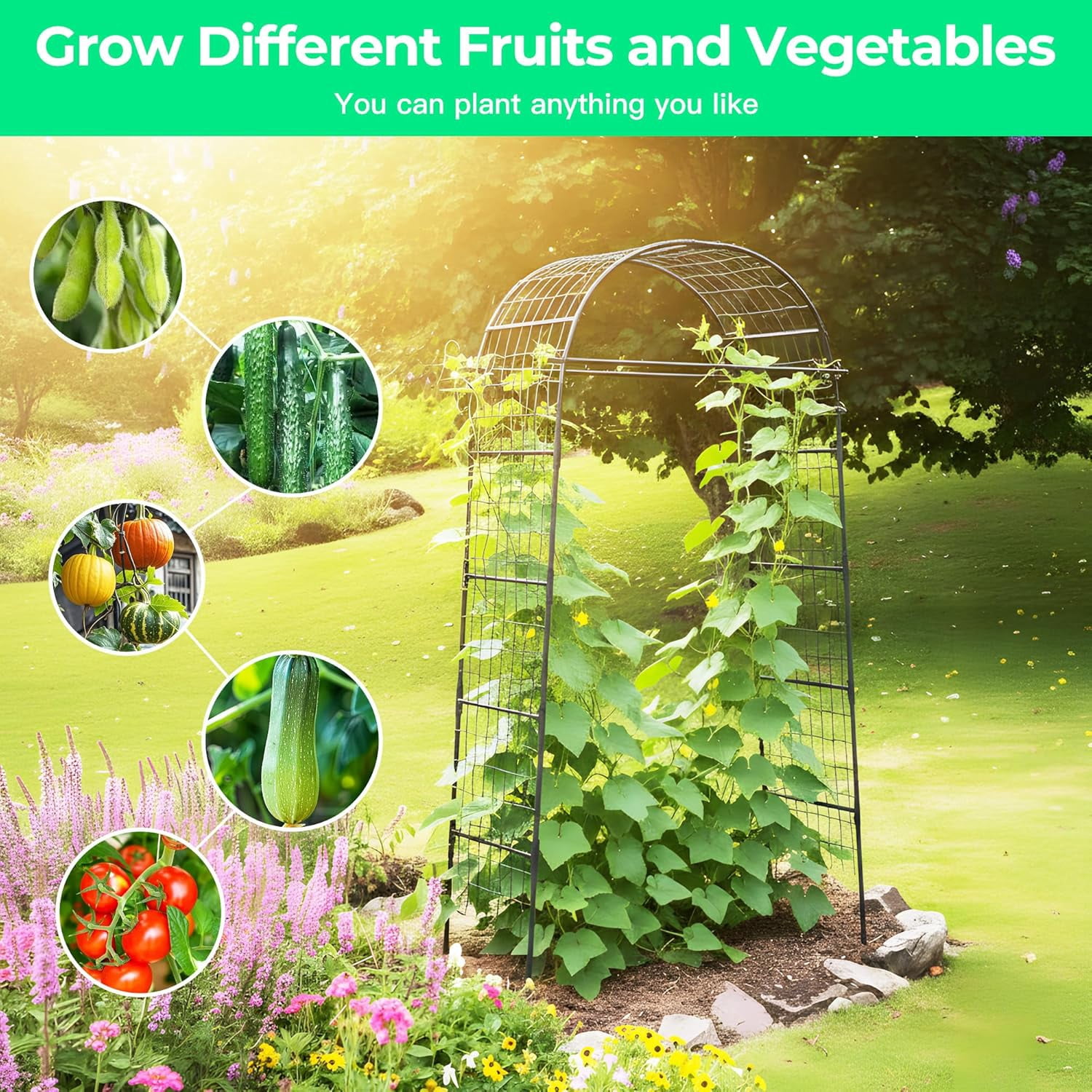 Garden Arch Trellis for Climbing Plants, 82 Inch Tall Metal Vine Support with Clamp Netting for Outdoor Flower Vegetable Tomato Cucumber Garden Decoration