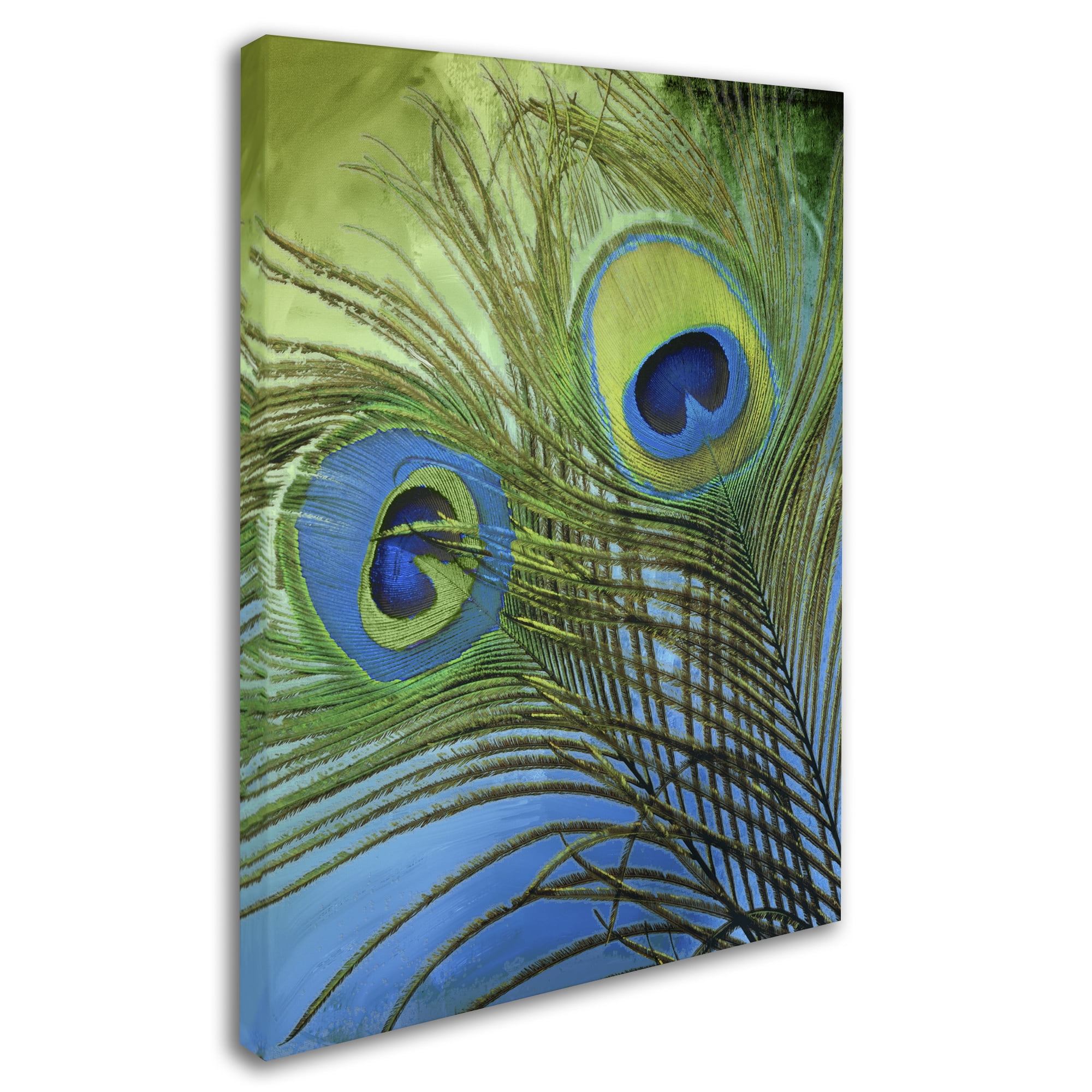 Trademark Fine Art "Peacock Candy I" Canvas Art by Color Bakery