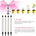 thumbnail image 2 of Grow Lights for Indoor Plants Four Head LED Grow Light with Full Spectrum & Spectrum for Indoor Plant Growing Lamp Timer Adjustable Gooseneck Switch Modes, 2 of 7