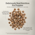 thumbnail image 5 of Puppy GF - Nourriture Sèche pour Chien, 5 of 5