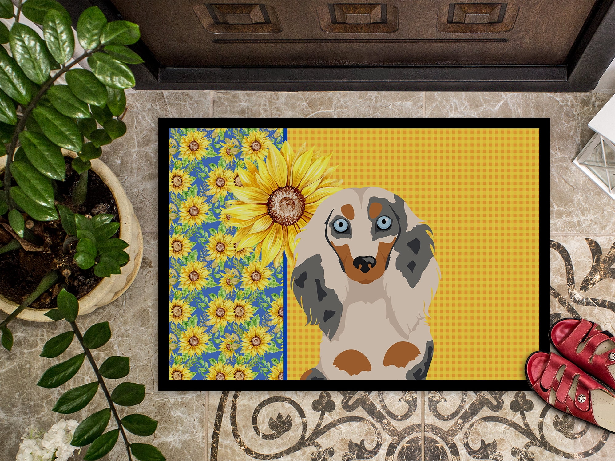 Carolines Treasures WDK5385JMAT 24 x 36 in. Summer Sunflowers Longhair Cream Dapple Dachshund Indoor or Outdoor Mat