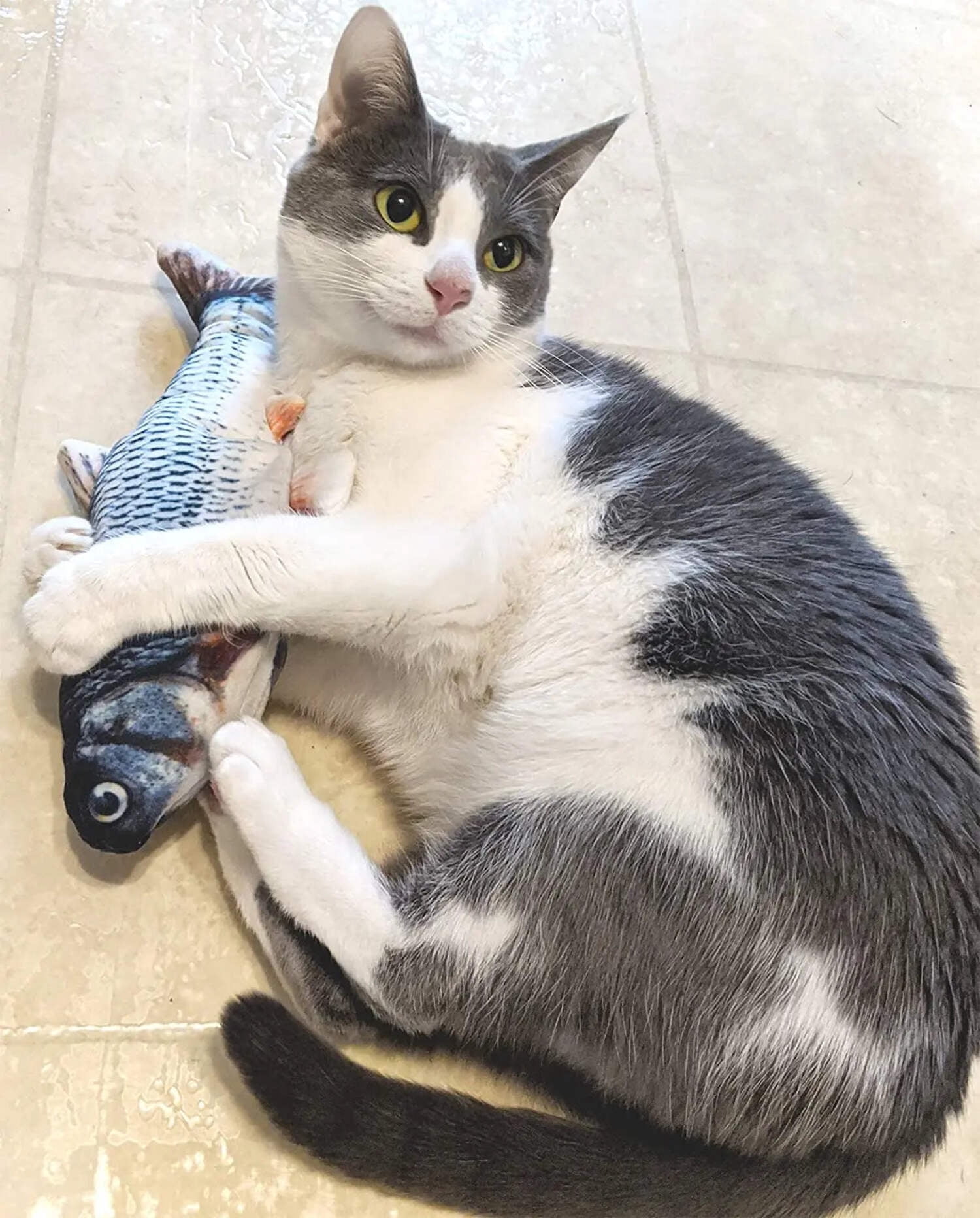 Ethical Products 077469 11.5 in. Flipping Fish Interactive Cat Toy, Multi Color
