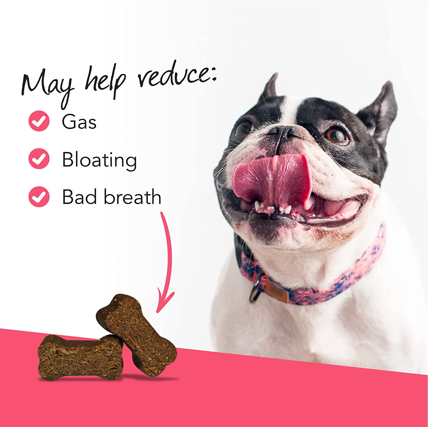 VetriScience Gut Health Supplement Chews for Dogs, Duck Flavor, 120 Count Bag
