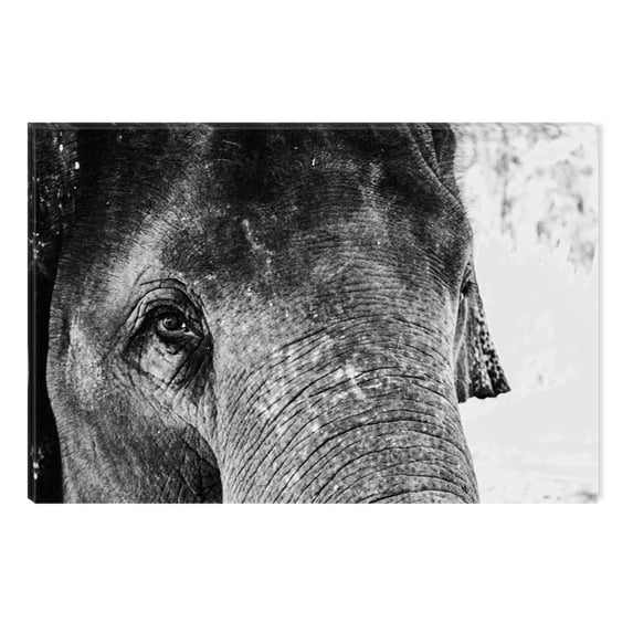 Startonight Canvas Wall Art Black and White Abstract Elephant Eye, Dual View Surprise Artwork Modern Framed Ready to Hang Wall Art 100% Original Art Painting 23.62 X 35.43 inch
