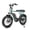 Green, variant on Tamobyke T63 Electric Bike for Adults,750W Motor,36V/13Ah Battery,20"x4.0" Fat Tire E-Mountain Bike,UL2849