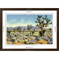thumbnail image 5 of Art.com Joshua Trees in Desert, California Art Print, Brown Frame Wall Art, 44" x 32", 5 of 5