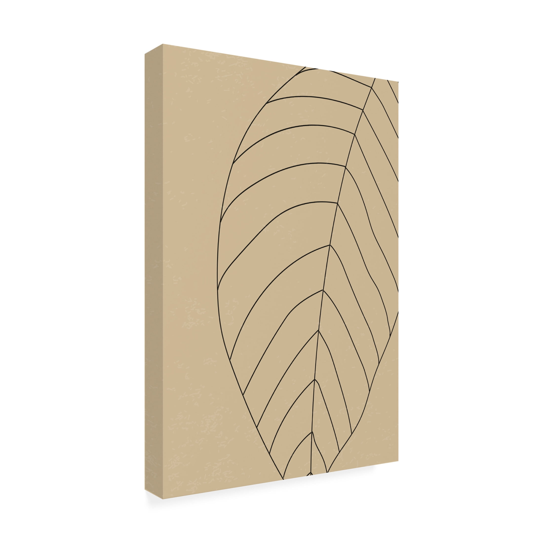 Trademark Fine Art jay stanley  Minimal Leaves 4 Canvas Wall Art