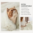 Ultra Soft Fluffy King Size Blanket for Bed Fuzzy, Fluffy, Shaggy