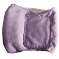 thumbnail image 1 of Menstruation Reusable Pets Supplies Underwear Pet Trousers Puppy Physiological Pants Dog Panties Dog Diaper Dog Shorts PURPLE XS, 1 of 8