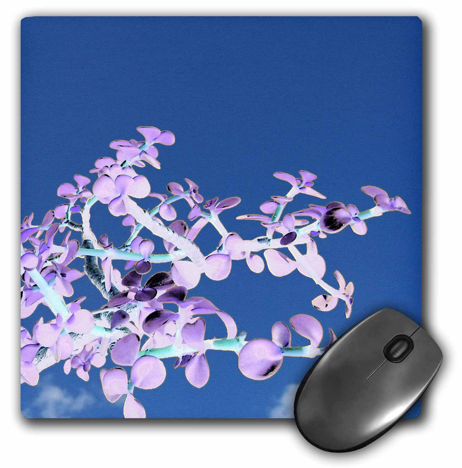 mp_182075_1 3dRose Mouse Pad Bonsai Inverted Purple White Against Sky Portulacaria 8 by 8-Inches 