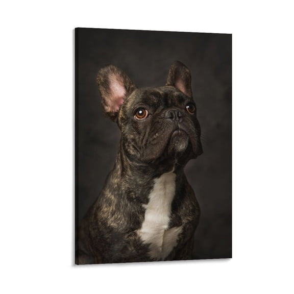French Bulldog 3 Print Photo Art Painting Canvas Poster Home Decorative Bedroom Modern Decor Posters Gifts 20x30inch(50x75cm)