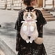 thumbnail image 1 of Mochila Ragdoll para Niñas | Bolso Bandolera Doble de Peluche con Forma de Gatito | Mochila Suave con Correas Ajustables | Bolso Escolar Informal Kawaii | Regalo de Cumpleaños y Navidad, 1 of 6