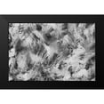 thumbnail image 2 of PI Studio 18x13 Black Modern Framed Museum Art Print Titled - Blue Botannical V, 2 of 5