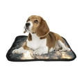 thumbnail image 2 of PKQWTM Bengal Tiger fire Pet Dog Cat Bed Pee Pads Mat Cushion Potty Dogs Blankets Crate Bed Kennel 25x30 inch, 2 of 3