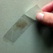 LabTech Easy to Use Mold Detection Test Kit