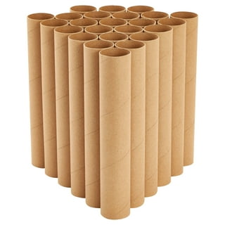  24 Pack Toilet Paper Rolls for Crafts, Empty White Cardboard  Tubes for Classroom, DIY Projects (1.6 x 4 in)