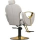 thumbnail image 4 of Silla Premium Estetica Salon Spa Neumatica Ajustable Dorado Gris Nanofort, 4 of 9