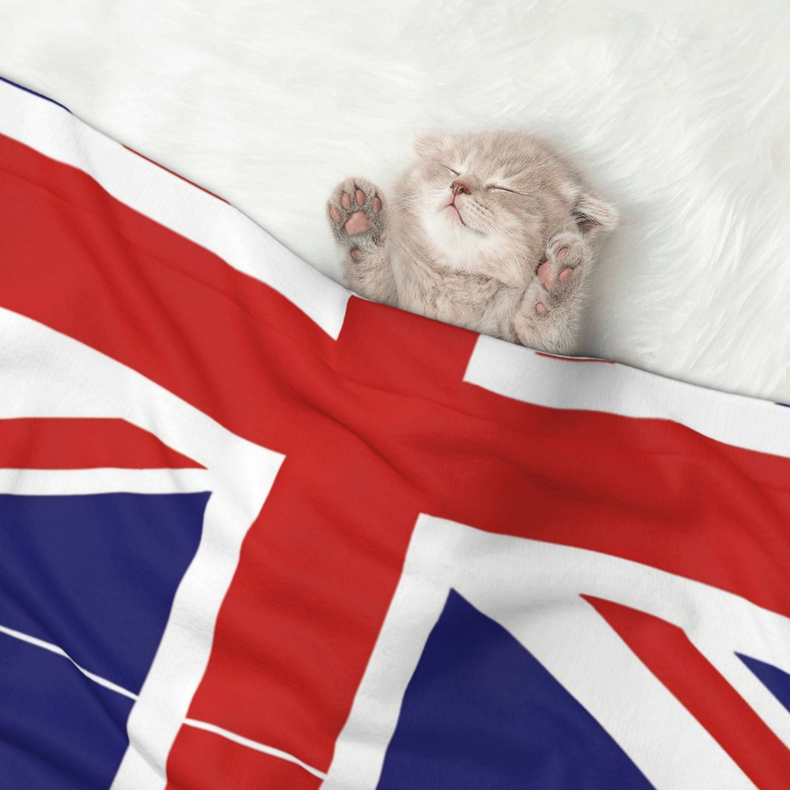 British Flag Britain English England Dog Blanket Soft Warm Flannel Cat Blanket Great Pet Throw for Cats Puppy Small Medium Large Dog