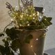 thumbnail image 4 of Cadena de luces solares, iluminación exterior versátil, ahorro de energía, blanco frío, cable de cobre flexible para decoración de terrazas y jardines, longitud de 7 m, 50 LED, resistente al agua, 4 of 7