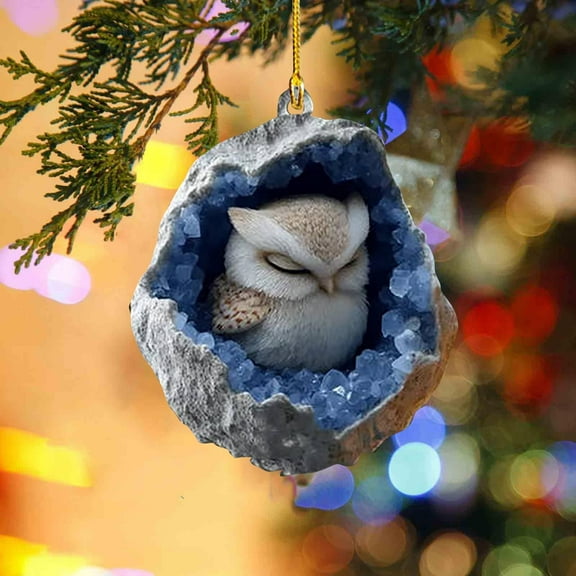 Wooowa Christmas Owl and Raccoon 2D Acrylic Ornaments, Flat Printed Small Hanging Decor for Xmas Tree, Festive Holiday Home Decorative Accents for Living Room