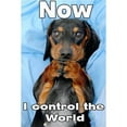 thumbnail image 3 of CafePress - Now I Control The World Ceramic Mug - 15 oz Ceramic Large White Novelty Mug, 3 of 4