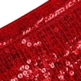 thumbnail image 5 of Belly Dance Hip Scarf Sequin Tassel Skirt Wrap Sparkly Rave Skirt for Women Festival of Carnival Sequin Tassel Skirt, 5 of 5