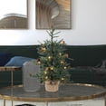 thumbnail image 4 of Vickerman 24" Carmel Pine Artificial Christmas Tree, Warm White Dura-lit LED Lights, 4 of 4