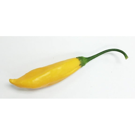 Aji Cito Pepper Premium Seeds Packet