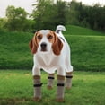 thumbnail image 7 of Unique Bargains 4 Pcs Non-Slip Dog Socks with Adjustable Tapes Brown S, 7 of 7