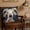 C, variant on HBYJLZYG Cartoon Sheep Pillowcase with Hidden Zipper, Lovely Cushion Cover, for Home Bedroom Living Room Office Decor, Perfect Gift for Pet Lovers, 17.7"x17.7"