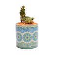 thumbnail image 4 of 4Pcs/Set Mandala de Style Nordique Motif Pot de Fleurs en Céramique Décoration de Table 4 pcs/set Sans Fond, 4 of 8