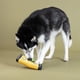 thumbnail image 2 of Juguete de Peluche para Perro Let Me Level with You 24x9x5 cm, 2 of 2