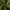 Olive Green, variant on 166" Oversized Couch, 4 Seater Modular Sectional Sofa, Camel Large Sectional Couches for Living Room, Fluffy Couch Set, 4 Seater Velvet Cloud Couch with 6 Pillows, Deep Seat Sofas for Living Room