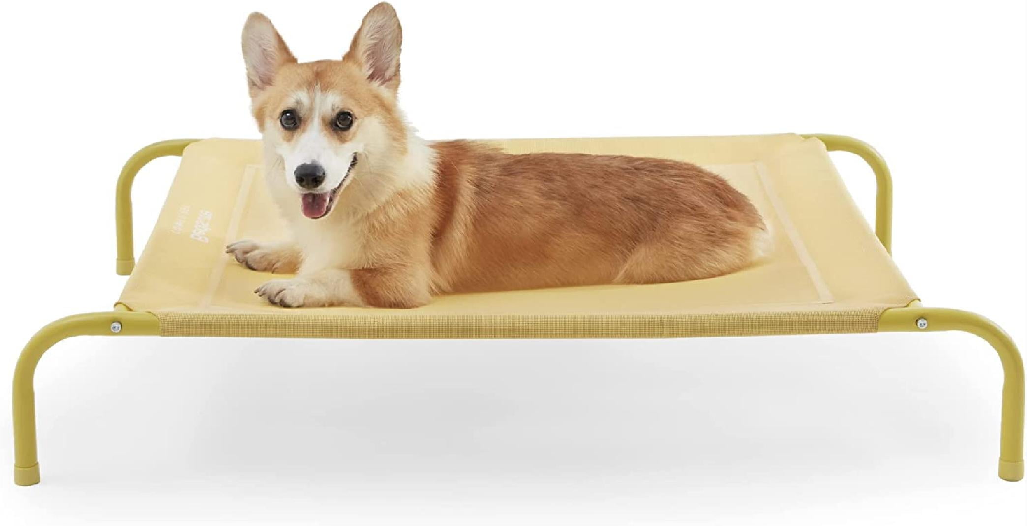 best raised dog beds for large dogs