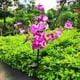 thumbnail image 1 of Lámpara de Jardín, 20 Unidades, Luces Solares para Orquídeas, 1 of 7